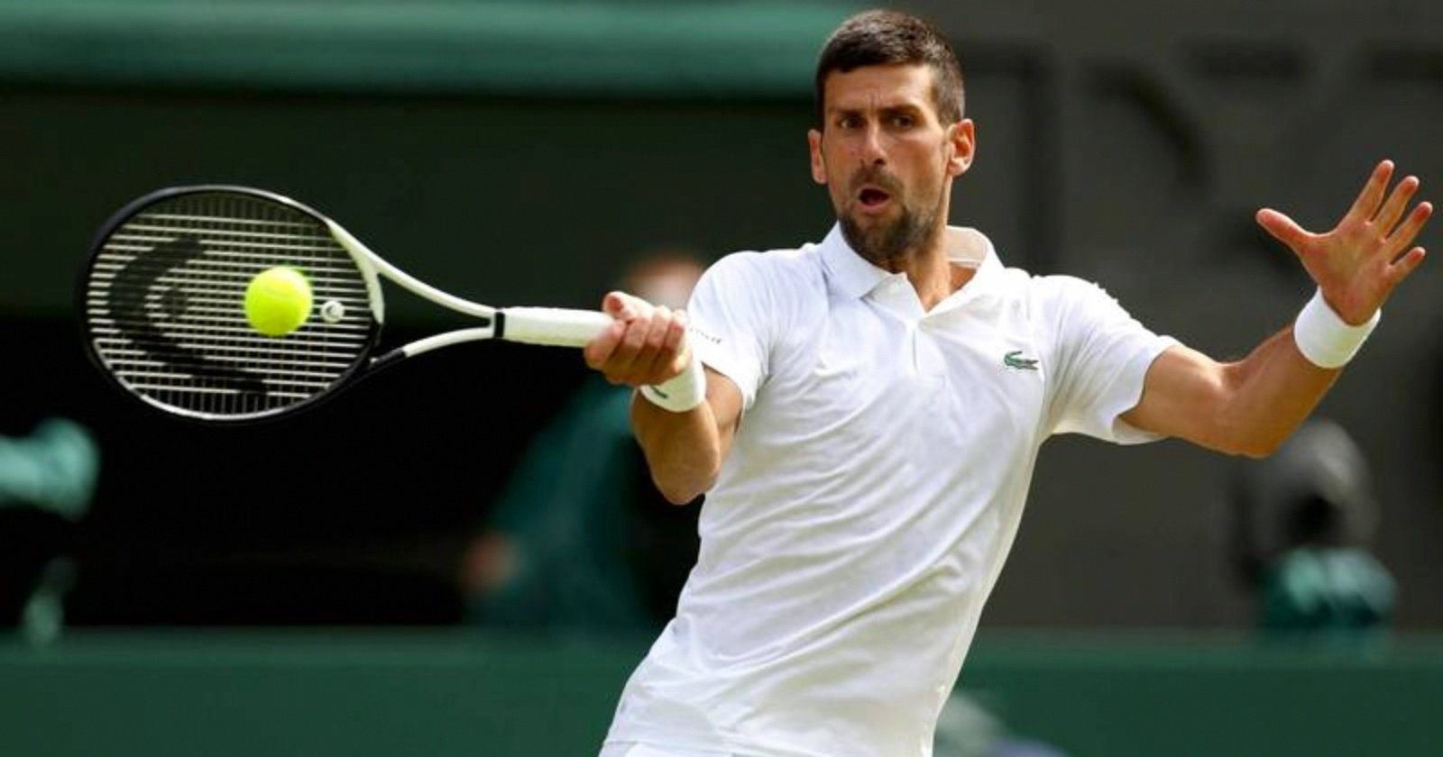 ATP总决赛完胜美网，德约科维奇带队取胜