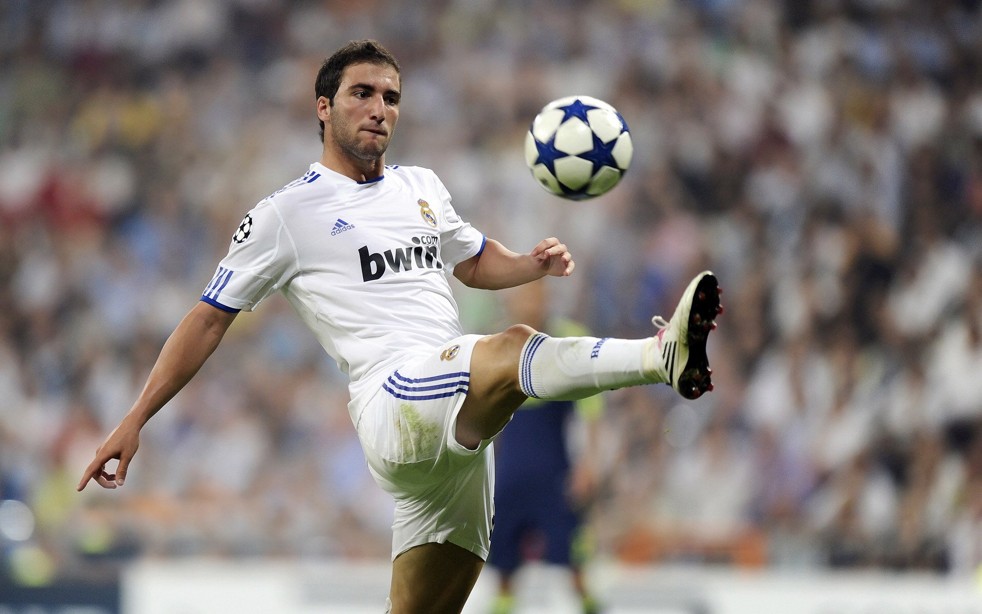 东决关键战焦点战，凯尔特人一波流带走老鹰，诠释何为冠军级掌控力